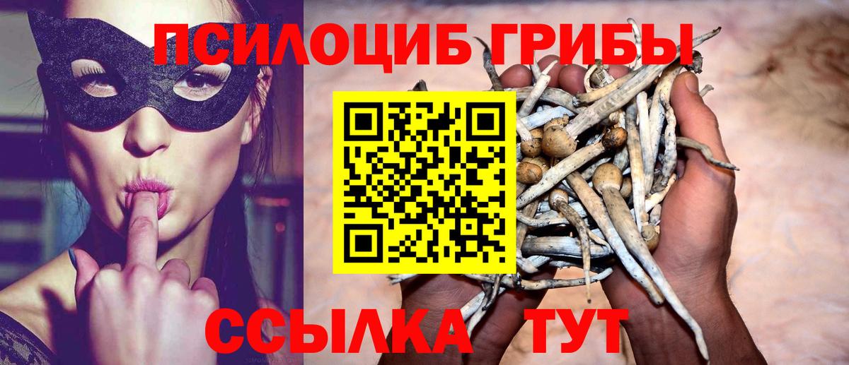 Псилоцибиновые грибы прущие грибы  Вход с VPN  Наро-Фоминск  Галлюциногенные грибы MAGIC MUSHROOMS 